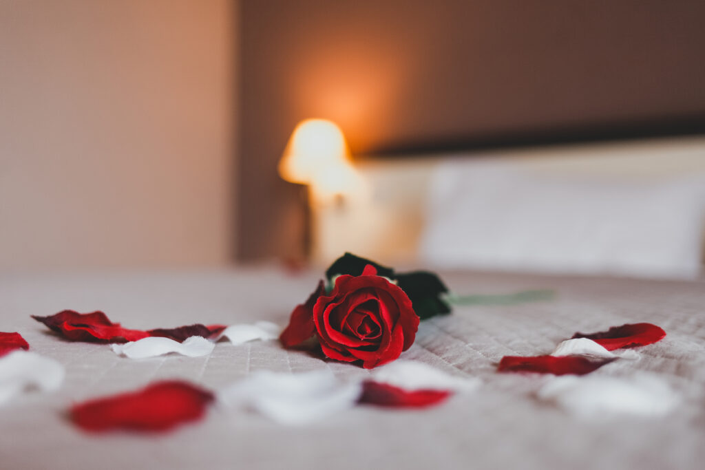 Rose and rose petals on a bed at Belamere Suites.